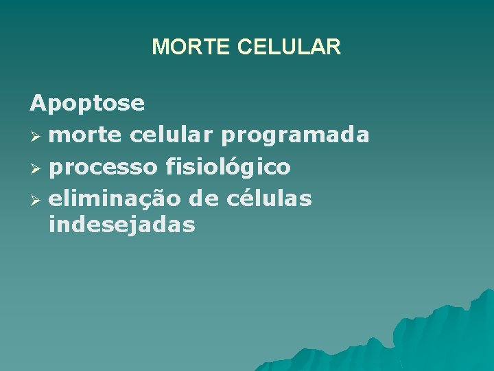 MORTE CELULAR Apoptose Ø morte celular programada Ø processo fisiológico Ø eliminação de células