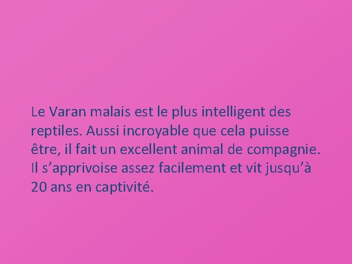 Le Varan malais est le plus intelligent des reptiles. Aussi incroyable que cela puisse