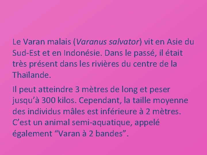 Le Varan malais (Varanus salvator) vit en Asie du Sud-Est et en Indonésie. Dans