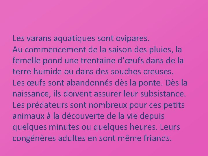 Les varans aquatiques sont ovipares. Au commencement de la saison des pluies, la femelle