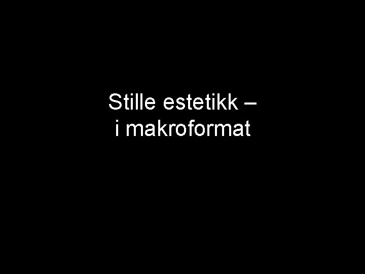 Stille estetikk – i makroformat 