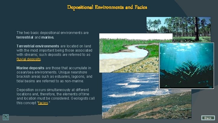 Depositional Environments and Facies The two basic depositional environments are terrestrial and marine. Terrestrial