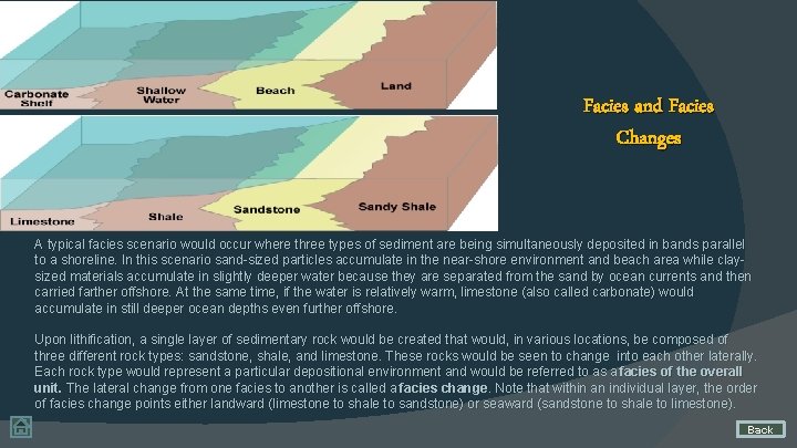 Facies and Facies Changes A typical facies scenario would occur where three types of