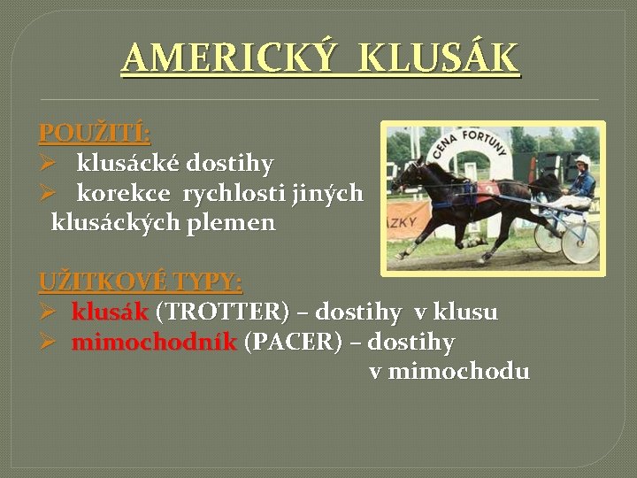 AMERICKÝ KLUSÁK POUŽITÍ: Ø klusácké dostihy Ø korekce rychlosti jiných klusáckých plemen UŽITKOVÉ TYPY: