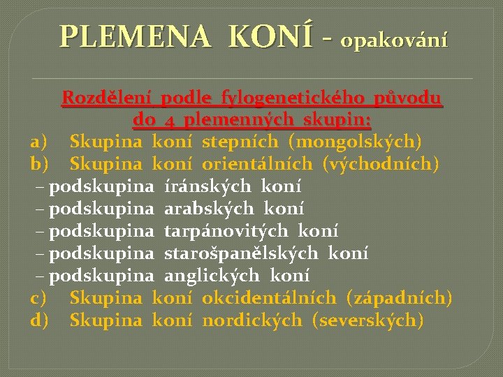 PLEMENA KONÍ - opakování Rozdělení podle fylogenetického původu do 4 plemenných skupin: a) Skupina