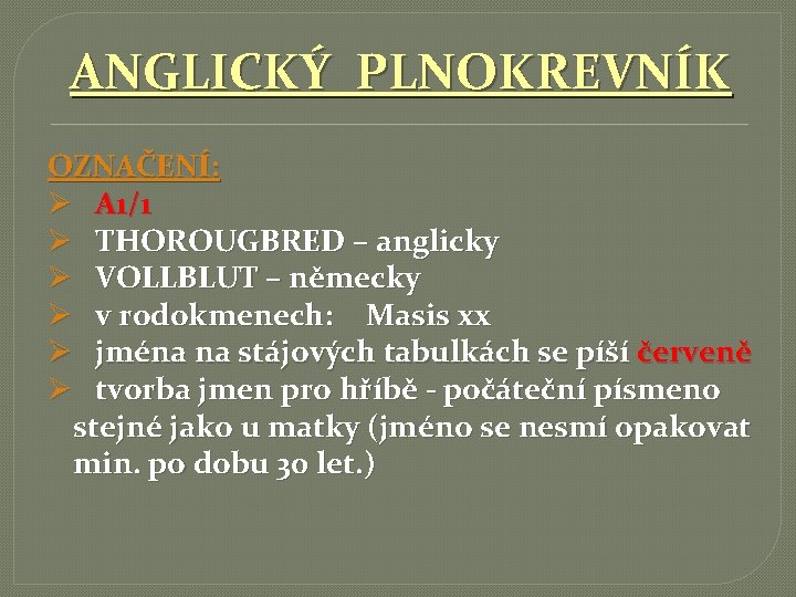 ANGLICKÝ PLNOKREVNÍK OZNAČENÍ: Ø A 1/1 Ø THOROUGBRED – anglicky Ø VOLLBLUT – německy