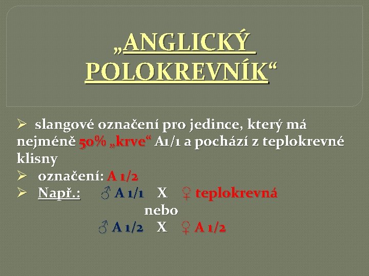 „ANGLICKÝ POLOKREVNÍK“ Ø slangové označení pro jedince, který má nejméně 50% „krve“ A 1/1