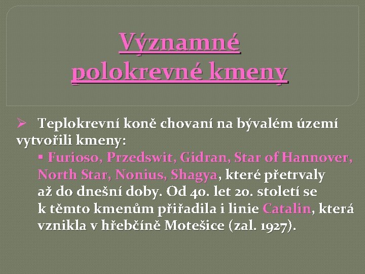 Významné polokrevné kmeny Ø Teplokrevní koně chovaní na bývalém území vytvořili kmeny: § Furioso,