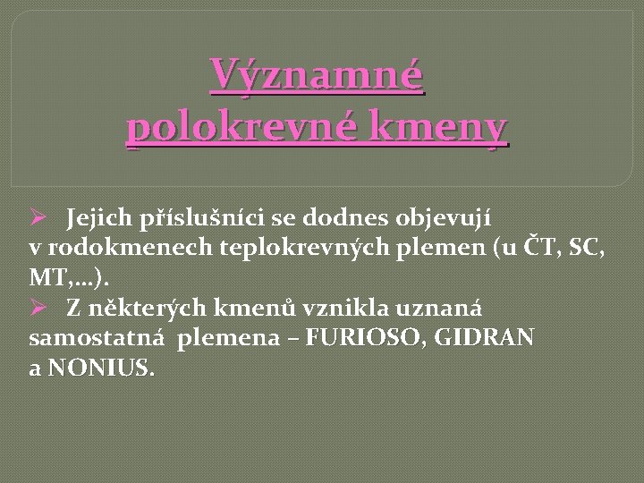 Významné polokrevné kmeny Ø Jejich příslušníci se dodnes objevují v rodokmenech teplokrevných plemen (u