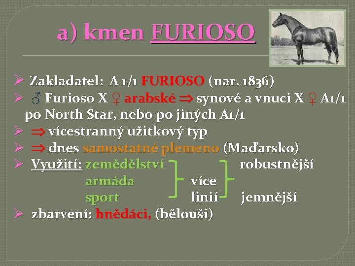 a) kmen FURIOSO Ø Zakladatel: A 1/1 FURIOSO (nar. 1836) Ø ♂ Furioso X