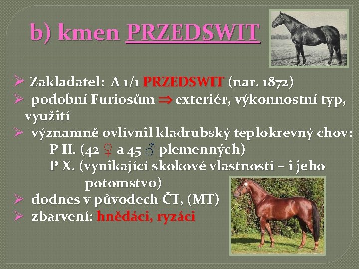  b) kmen PRZEDSWIT Ø Zakladatel: A 1/1 PRZEDSWIT (nar. 1872) Ø podobní Furiosům