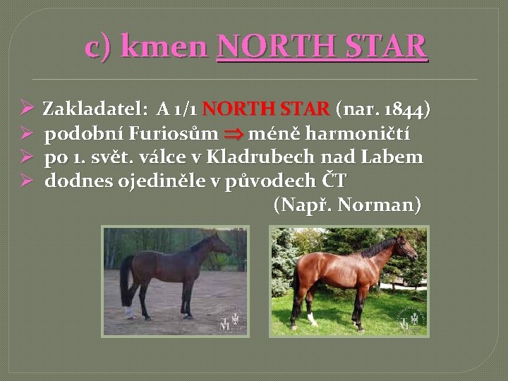 c) kmen NORTH STAR Ø Zakladatel: A 1/1 NORTH STAR (nar. 1844) Ø podobní
