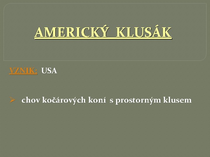 AMERICKÝ KLUSÁK VZNIK: USA Ø chov kočárových koní s prostorným klusem 