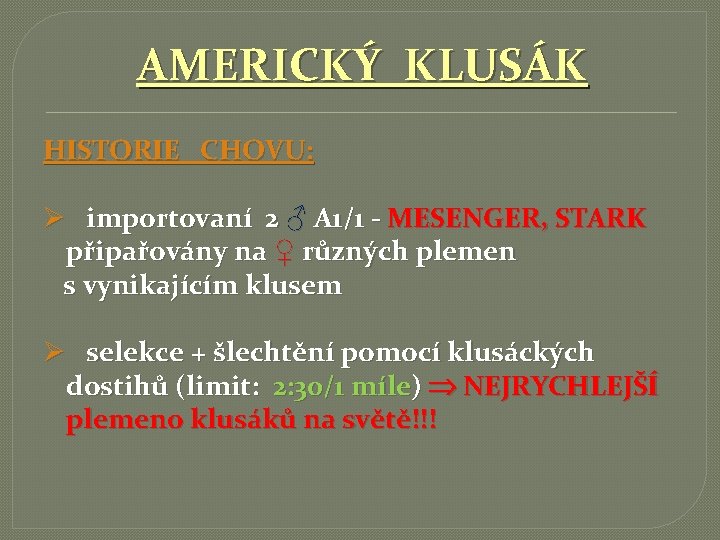 AMERICKÝ KLUSÁK HISTORIE CHOVU: Ø importovaní 2 ♂ A 1/1 - MESENGER, STARK připařovány