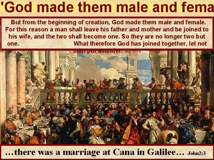 'God made them male and fema But from the beginning of creation, God made