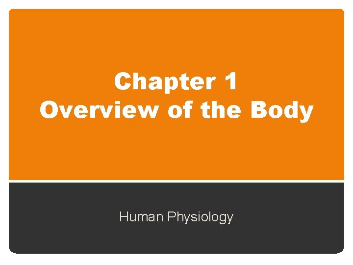 Chapter 1 Overview of the Body Human Physiology 