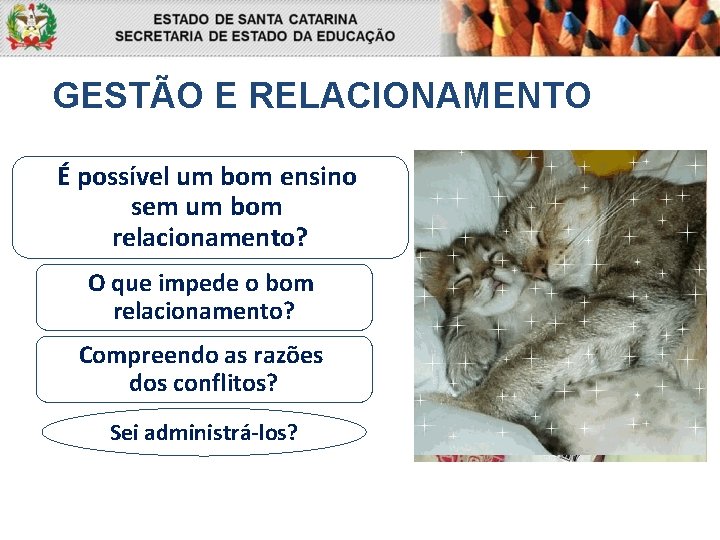 GESTÃO E RELACIONAMENTO É possível um bom ensino sem um bom relacionamento? O que