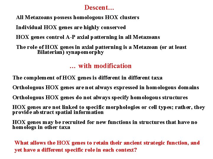 Descent… All Metazoans possess homologous HOX clusters Individual HOX genes are highly conserved HOX