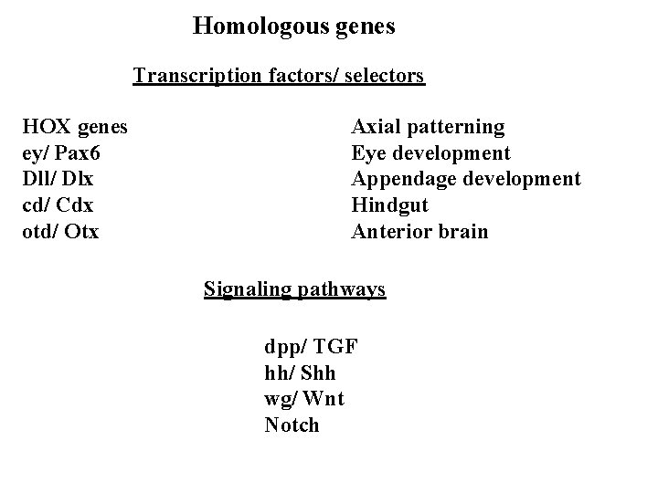 Homologous genes Transcription factors/ selectors HOX genes ey/ Pax 6 Dll/ Dlx cd/ Cdx