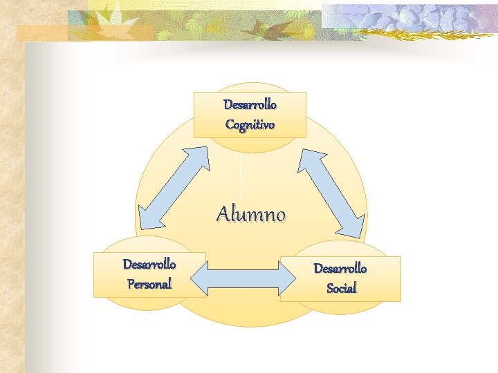 Desarrollo Cognitivo Alumno Desarrollo Personal Desarrollo Social 