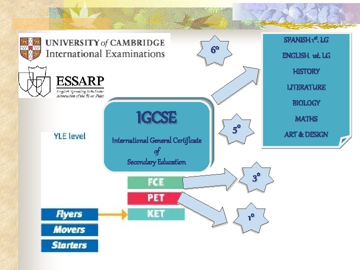 SPANISH 1 st. LG 6° ENGLISH 1 st. LG HISTORY LITERATURE BIOLOGY IGCSE MATHS