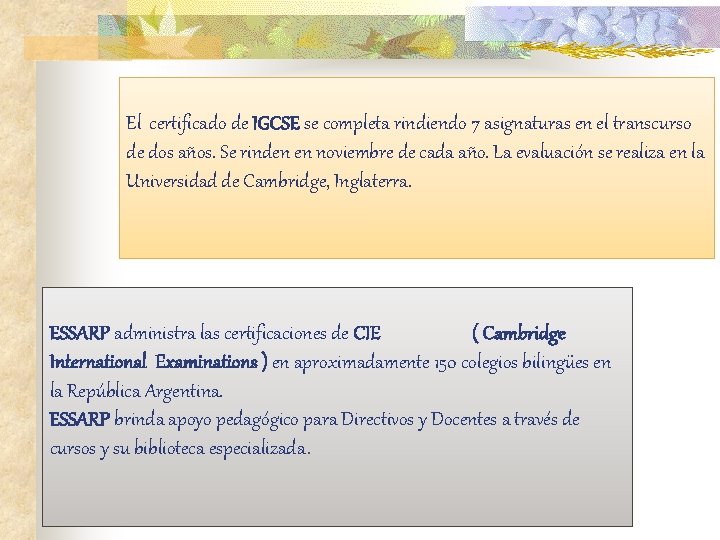 El certificado de IGCSE se completa rindiendo 7 asignaturas en el transcurso de dos