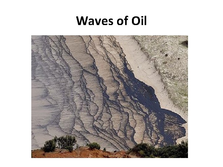 Waves of Oil 