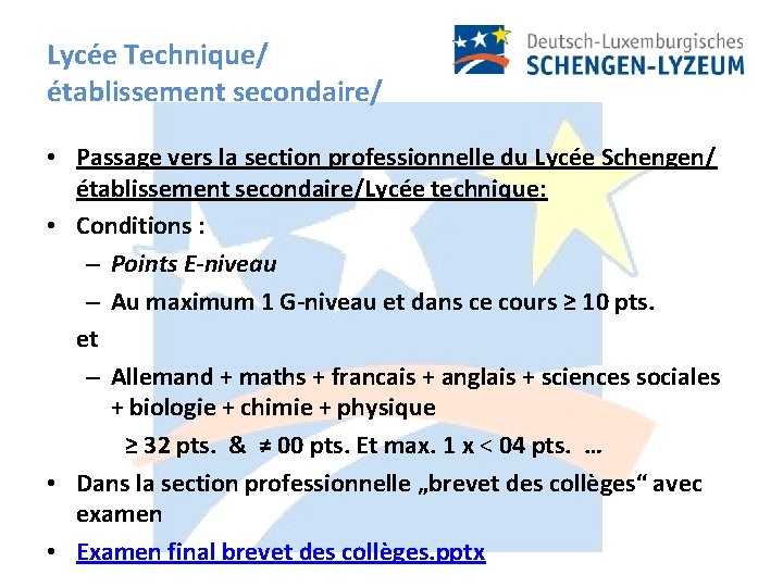 Lycée Technique/ établissement secondaire/ • Passage vers la section professionnelle du Lycée Schengen/ établissement