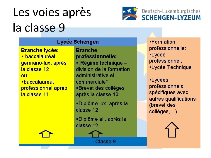 Les voies après la classe 9 Lycée Schengen Branche lycée: § baccalauréat germano-lux. après