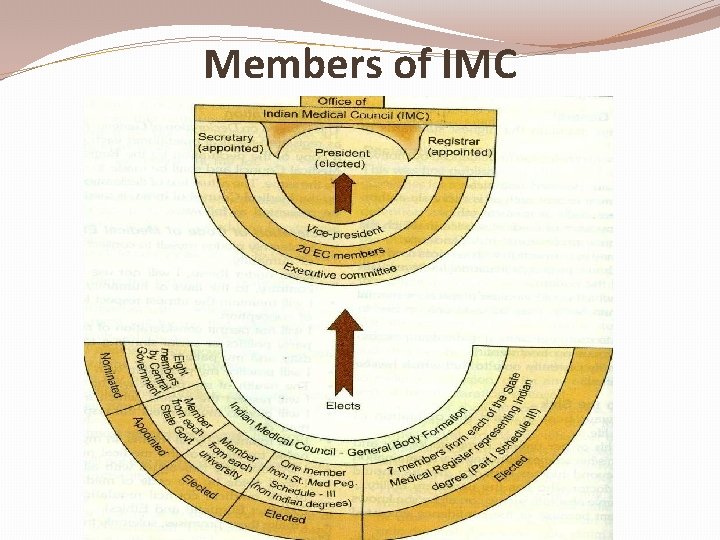 Members of IMC 