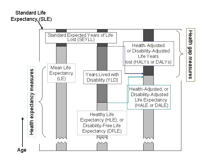 Standard Life Expectancy (SLE) Health expectancy measures Health-Adjusted or Disability-Adjusted Life Years lost (HALYs