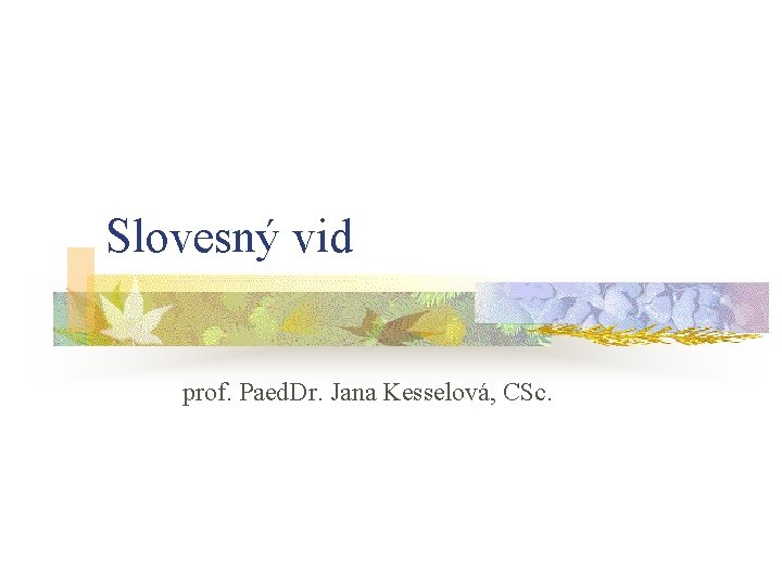 Slovesný vid prof. Paed. Dr. Jana Kesselová, CSc. 