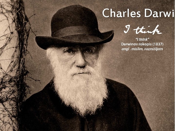 Charles Darwin Darwi 