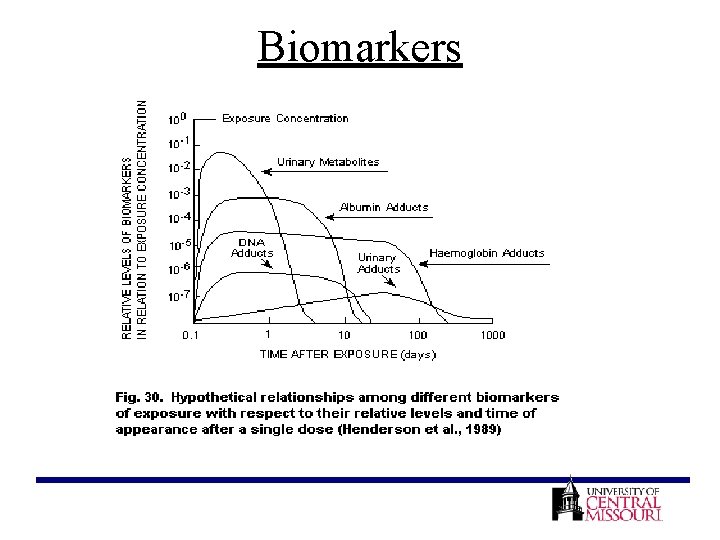 Biomarkers 