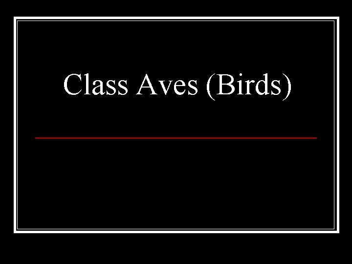 Class Aves (Birds) 