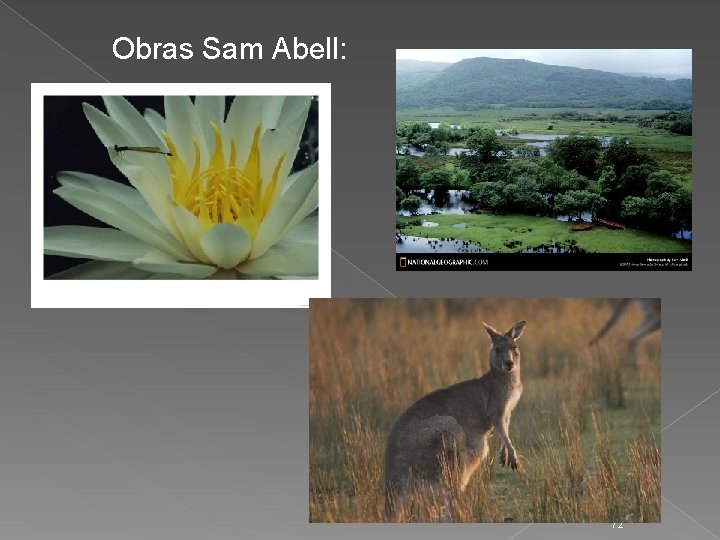 Obras Sam Abell: 72 