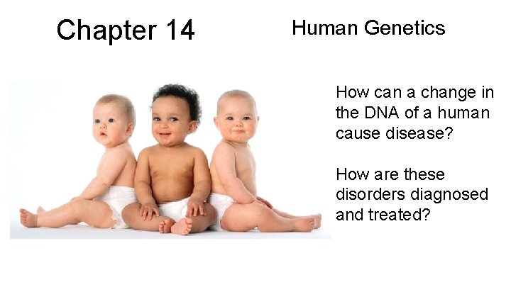 Chapter 14 Human Genetics How can a change in the DNA of a human Chapter 14 Human Genetics How can a change in the DNA of a human