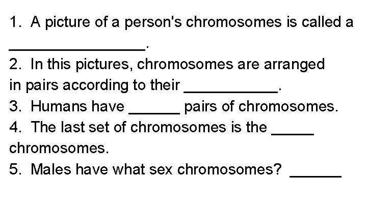 1. A picture of a person's chromosomes is called a ________. 2. In this 1. A picture of a person's chromosomes is called a ________. 2. In this