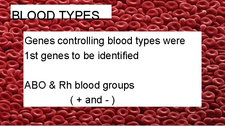 BLOOD TYPES Genes controlling blood types were 1 st genes to be identified ABO BLOOD TYPES Genes controlling blood types were 1 st genes to be identified ABO