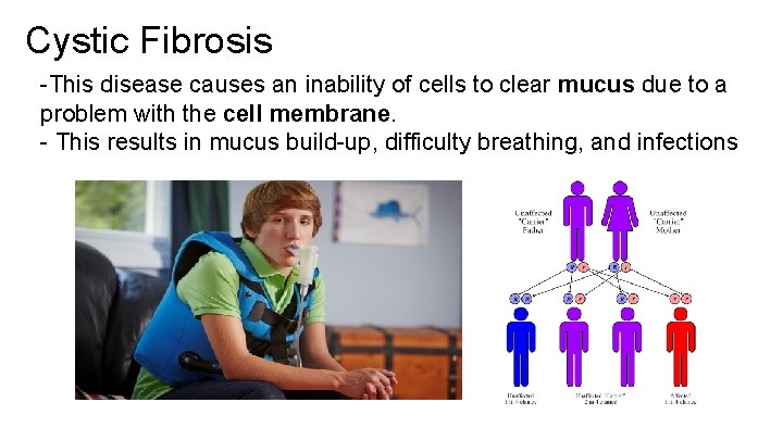 Cystic Fibrosis -This disease causes an inability of cells to clear mucus due to Cystic Fibrosis -This disease causes an inability of cells to clear mucus due to