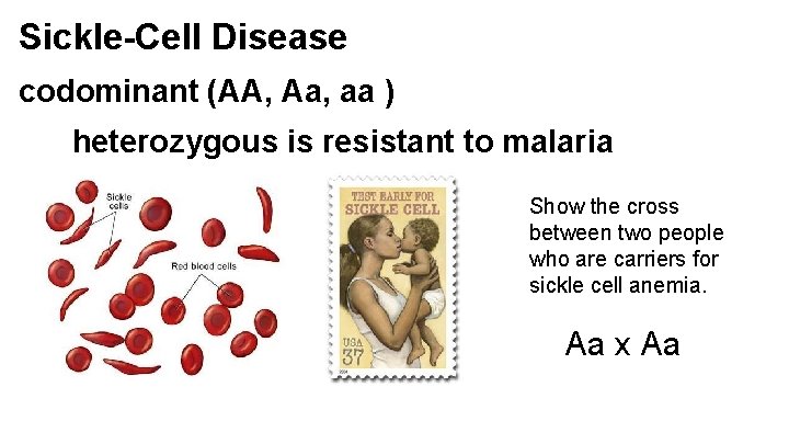 Sickle-Cell Disease codominant (AA, Aa, aa ) heterozygous is resistant to malaria Show the Sickle-Cell Disease codominant (AA, Aa, aa ) heterozygous is resistant to malaria Show the
