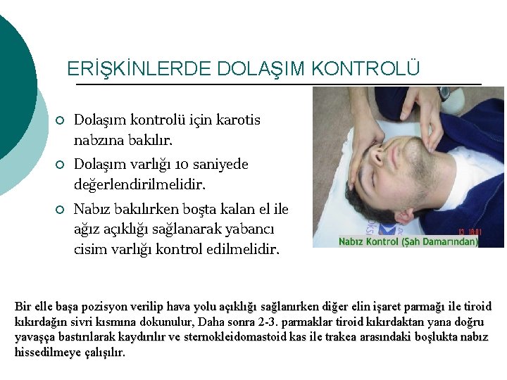 ERİŞKİNLERDE DOLAŞIM KONTROLÜ ¡ ¡ ¡ Dolaşım kontrolü için karotis nabzına bakılır. Dolaşım varlığı