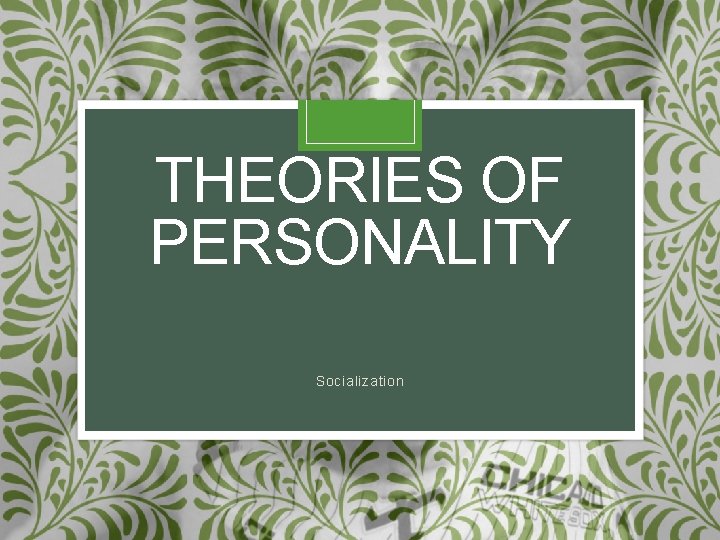 THEORIES OF PERSONALITY Socialization 