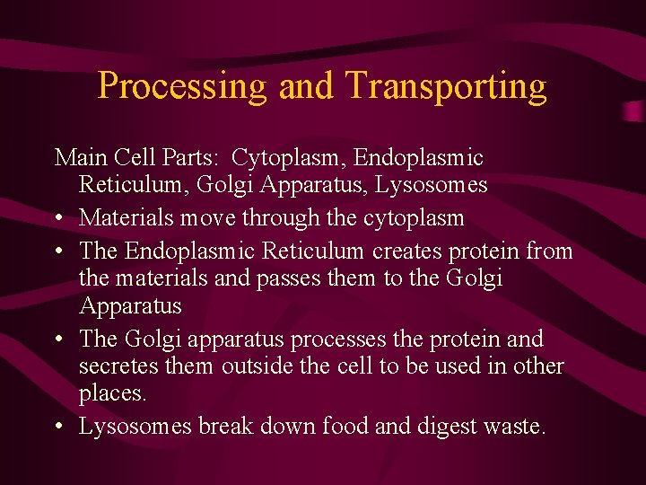 Processing and Transporting Main Cell Parts: Cytoplasm, Endoplasmic Reticulum, Golgi Apparatus, Lysosomes • Materials Processing and Transporting Main Cell Parts: Cytoplasm, Endoplasmic Reticulum, Golgi Apparatus, Lysosomes • Materials