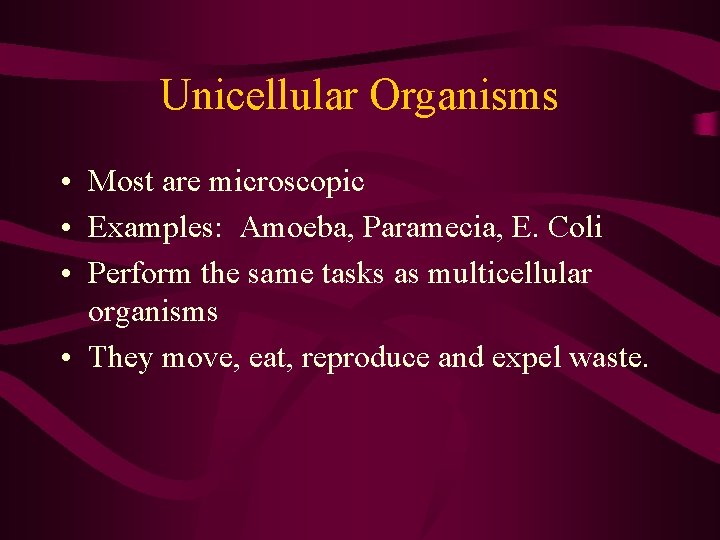 Unicellular Organisms • Most are microscopic • Examples: Amoeba, Paramecia, E. Coli • Perform Unicellular Organisms • Most are microscopic • Examples: Amoeba, Paramecia, E. Coli • Perform