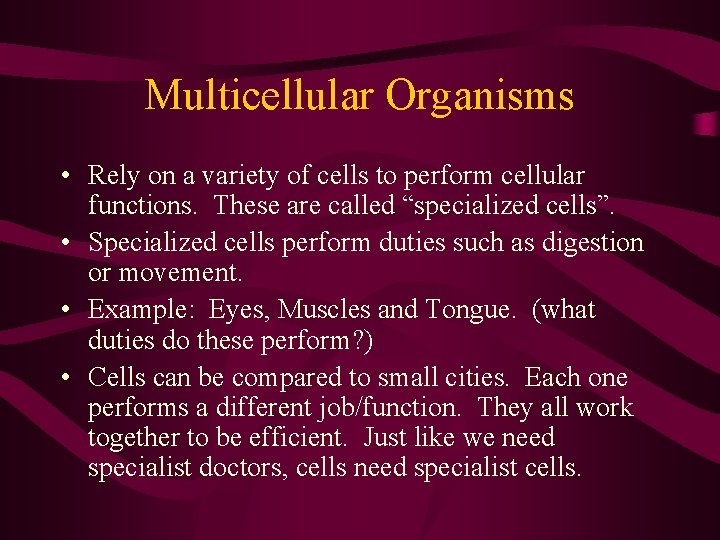 Multicellular Organisms • Rely on a variety of cells to perform cellular functions. These Multicellular Organisms • Rely on a variety of cells to perform cellular functions. These