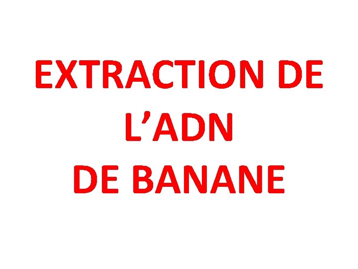 EXTRACTION DE L’ADN DE BANANE 