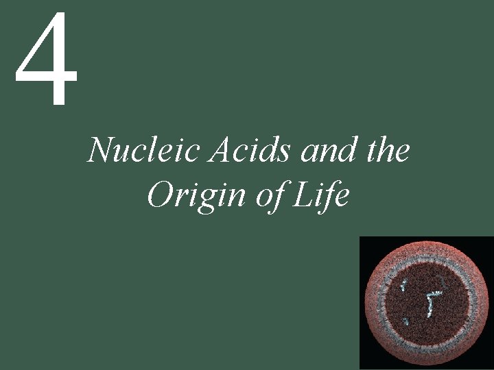 4 Nucleic Acids and the Origin of Life 