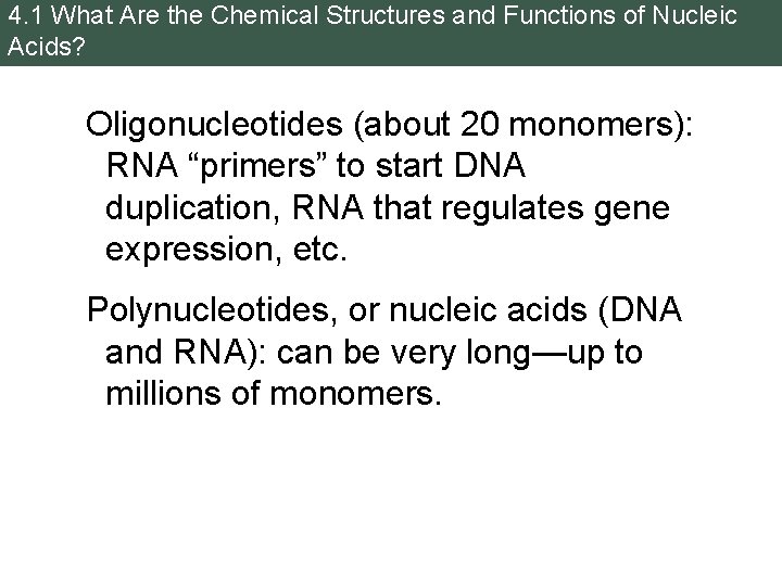 4. 1 What Are the Chemical Structures and Functions of Nucleic Acids? Oligonucleotides (about