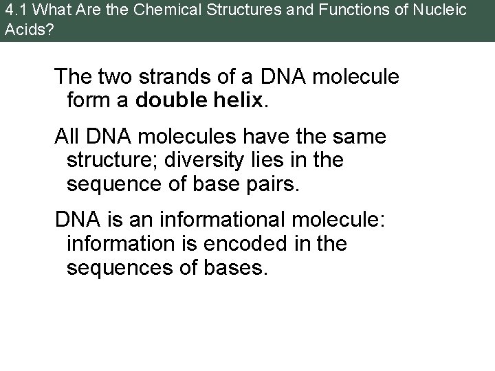 4. 1 What Are the Chemical Structures and Functions of Nucleic Acids? The two